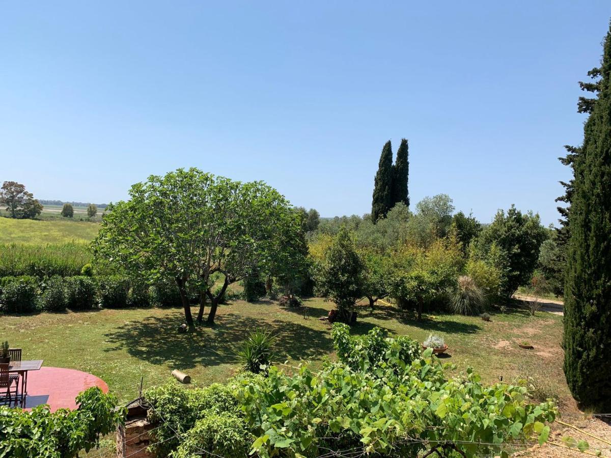 Casale Degli Ulivi Maccarese Villa Le Cerquete Eksteriør bilde
