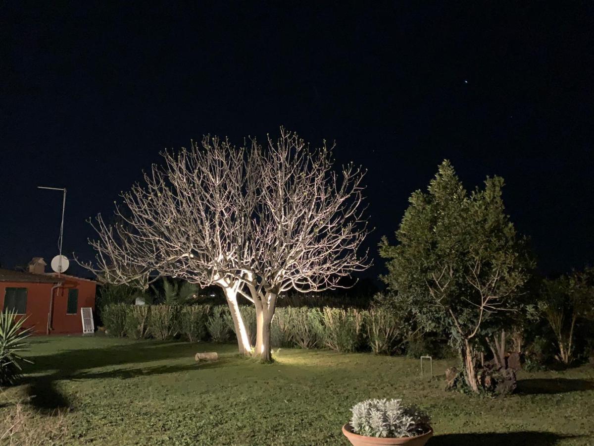 Casale Degli Ulivi Maccarese Villa Le Cerquete Eksteriør bilde