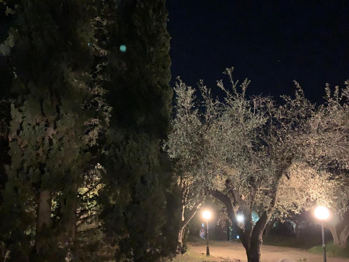 Casale Degli Ulivi Maccarese Villa Le Cerquete Eksteriør bilde