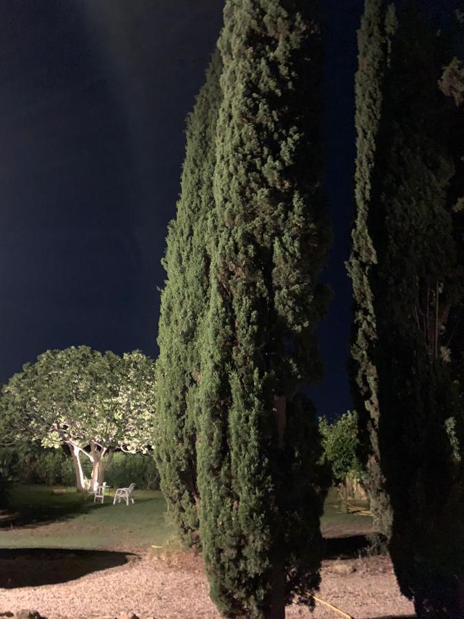Casale Degli Ulivi Maccarese Villa Le Cerquete Eksteriør bilde