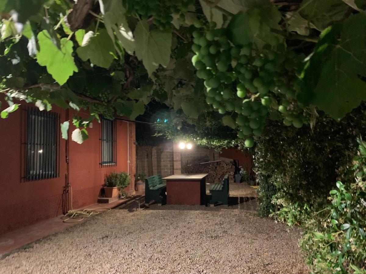 Casale Degli Ulivi Maccarese Villa Le Cerquete Eksteriør bilde