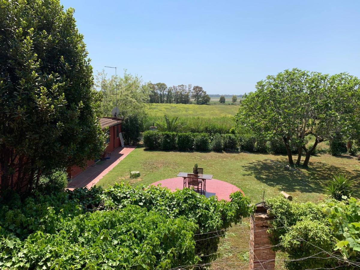 Casale Degli Ulivi Maccarese Villa Le Cerquete Eksteriør bilde